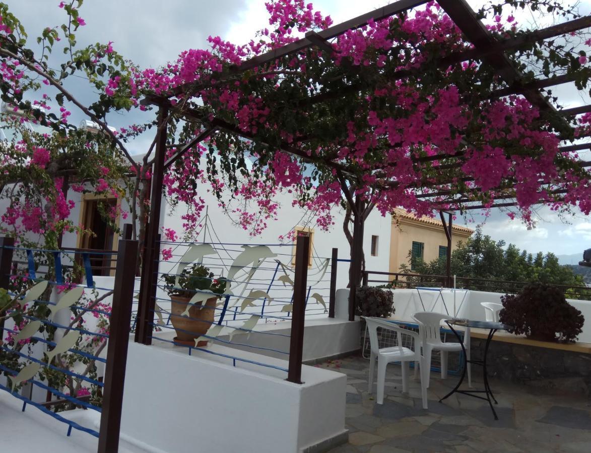 Aparthotel Diktynna 2*